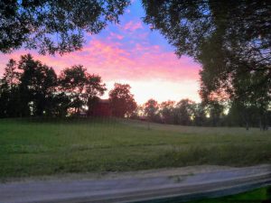 Auringonlasku Nuuksiossa