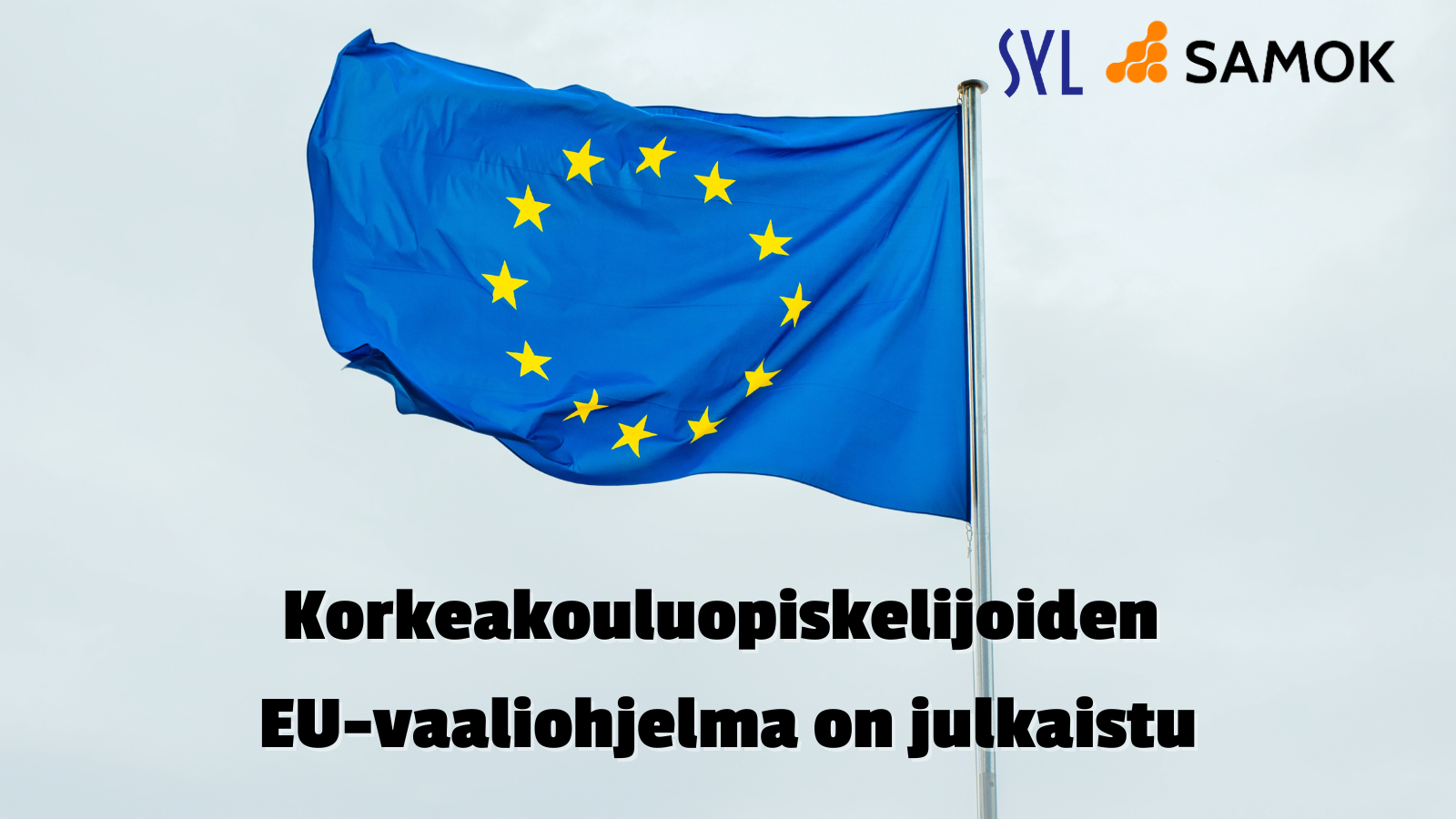 Korkeakouluopiskelijoiden EU vaaliohjelma On Julkaistu SAMOK